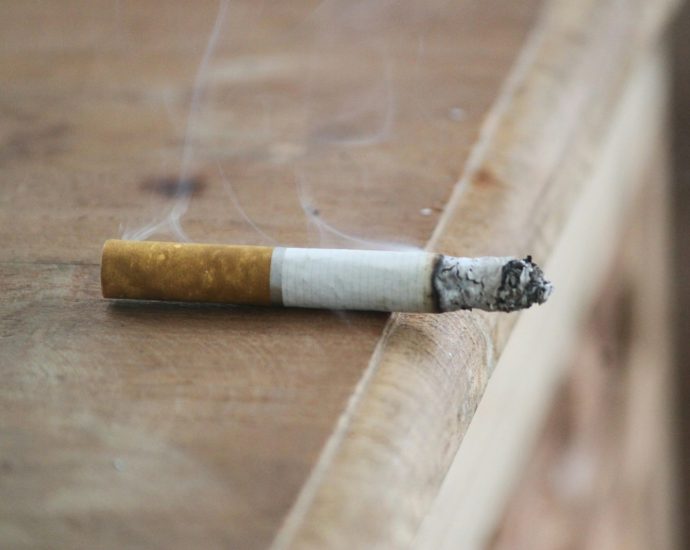 white and brown cigarette stick