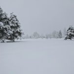 a snow covered field with trees in the background