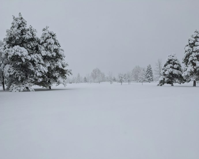 a snow covered field with trees in the background