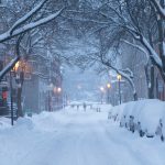 snow covers cars parked on road side