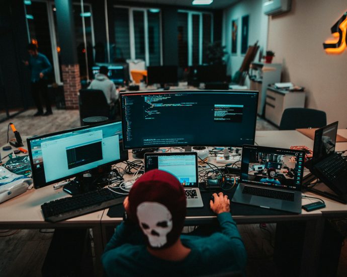 person using laptops