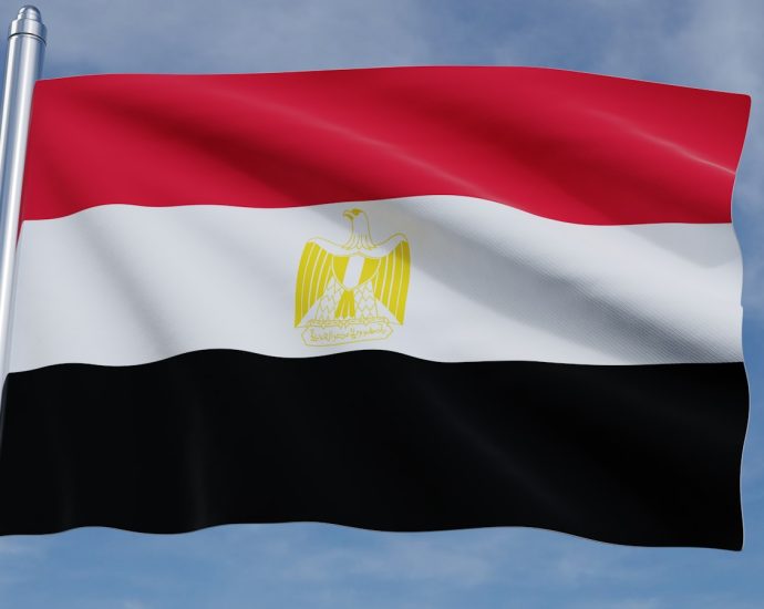 the flag of egypt waving in the wind