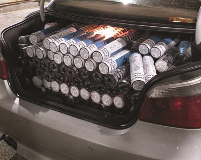 никотински ќесички