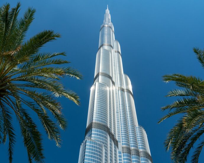 white concrete building near palm tree under blue sky during daytime