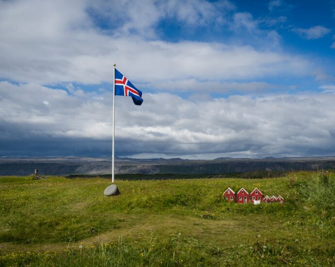 a flag on a pole in a field