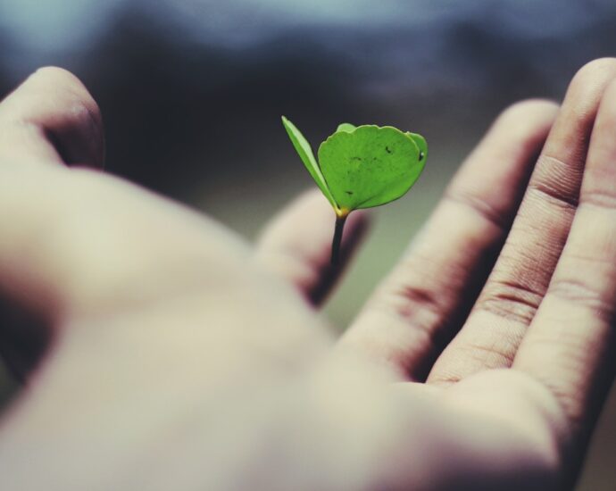 како да го излечите својот живот