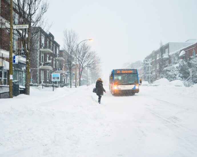 woman standing near blue truck
