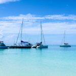 white and blue boat on sea under blue sky during daytime