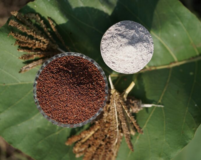 Amaranth seeds and flour on a large green leaf.