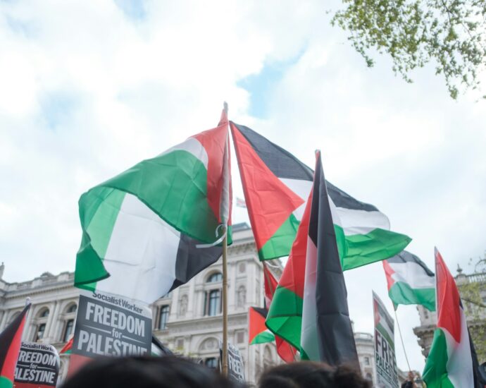 people walking on street with flags during daytime