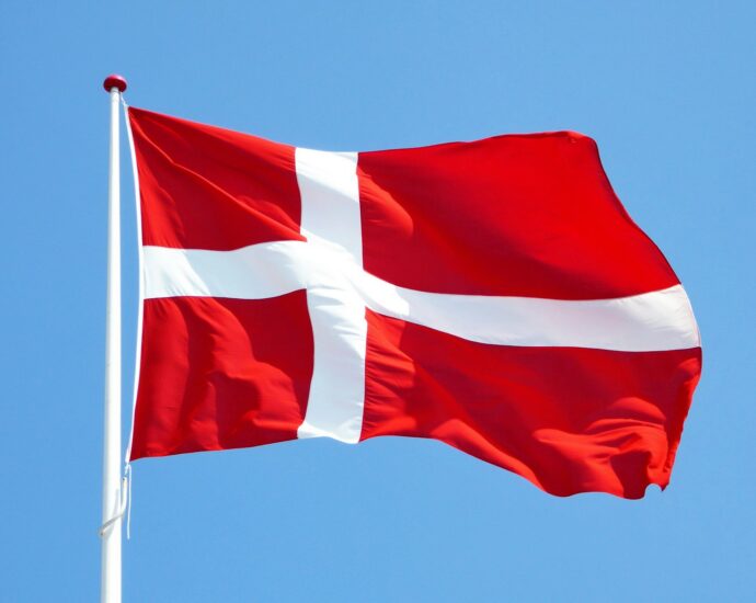 red and white flag on pole