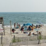 people on beach during daytime