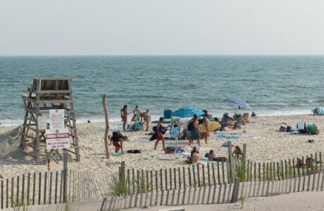 people on beach during daytime