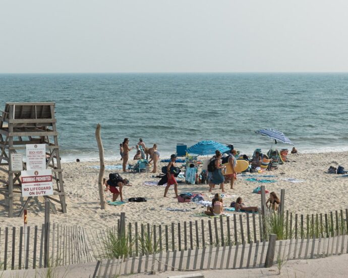 people on beach during daytime