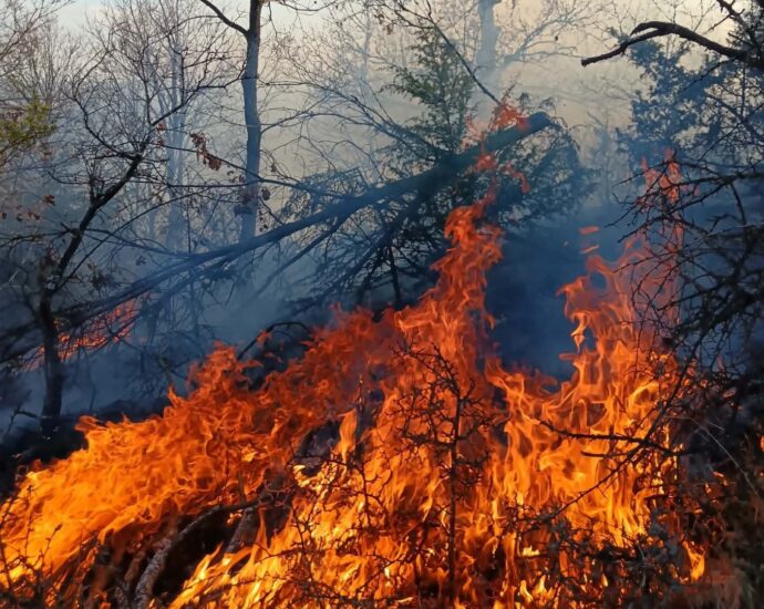 пожар арбанашко