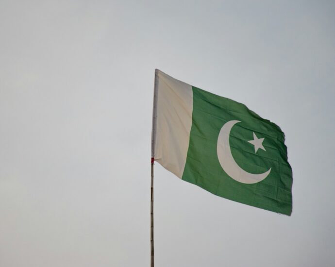 green and white flag under white sky during daytime