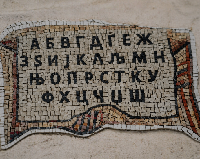 македонскиот литературен јазик