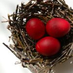 Three red eggs rest comfortably in a nest.