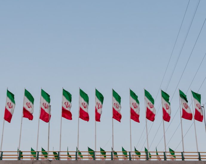 Mexico flags