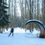 a person riding skis across a snow covered forest