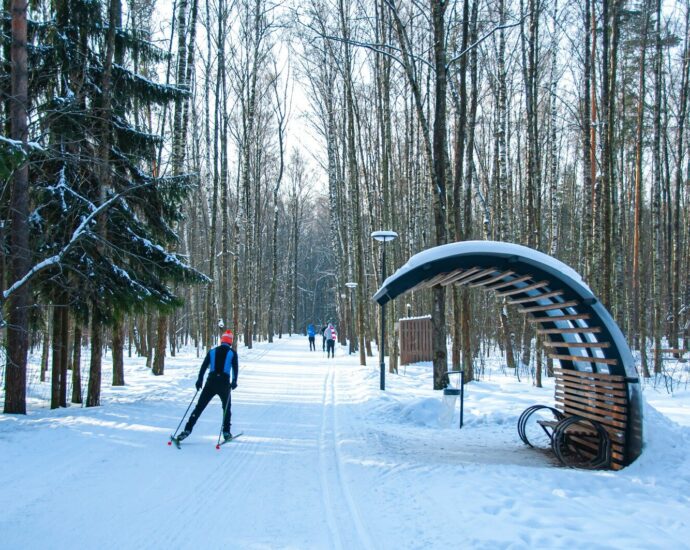 a person riding skis across a snow covered forest