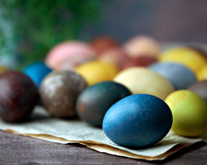 blue yellow and red egg on brown wooden tray