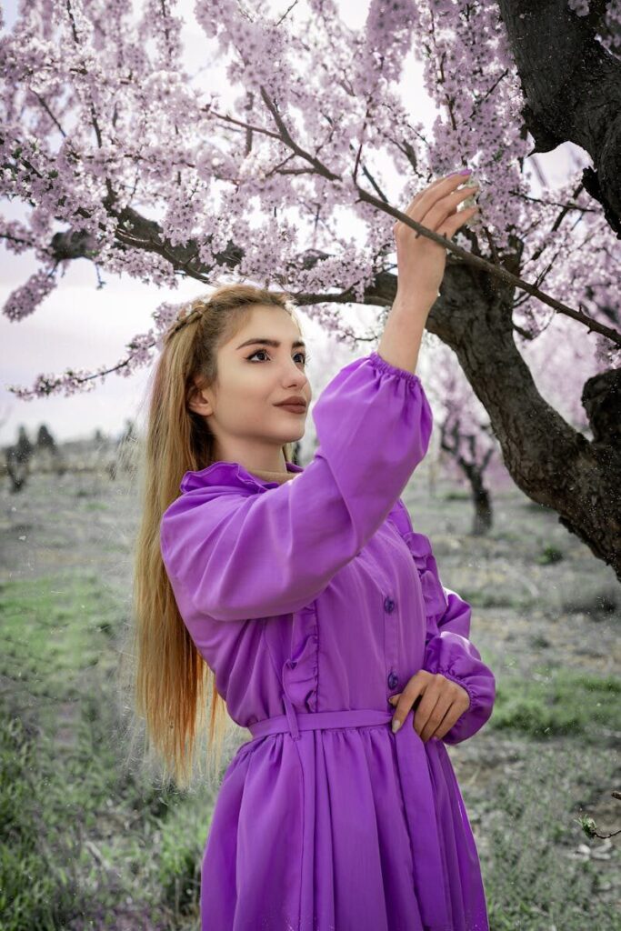 A woman in a purple dress admiring blooming cherry blossoms in a Tehran orchard during spring.