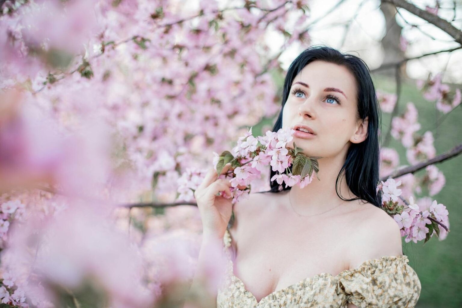 A serene portrait of a woman surrounded by cherry blossoms in a springtime setting.