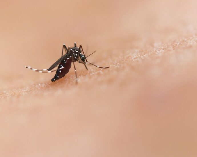 a close up of a mosquito on a human's skin