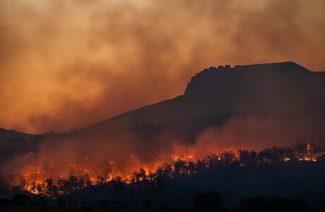 wildfire burning across hillside at dusk