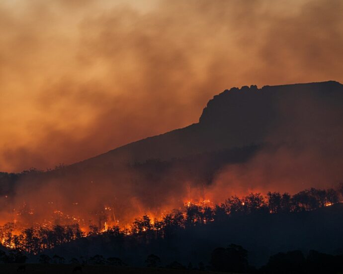 wildfire burning across hillside at dusk