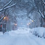 snow covers cars parked on road side
