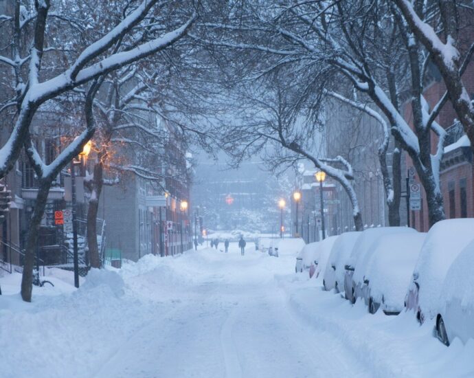 snow covers cars parked on road side