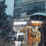 people holding umbrella