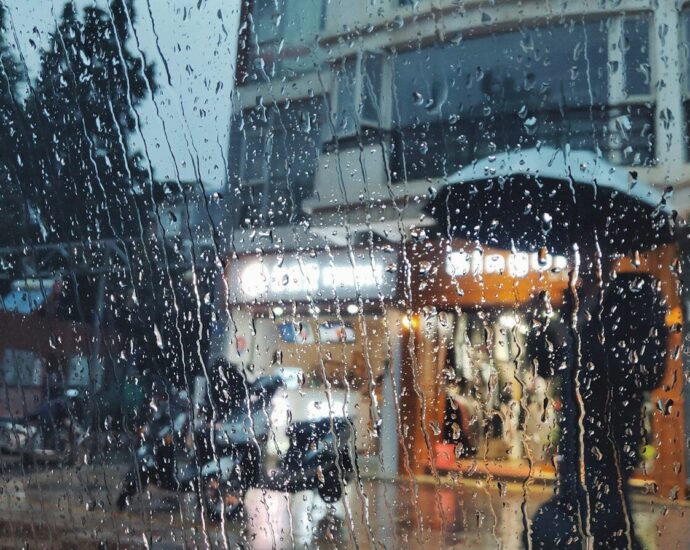 people holding umbrella