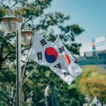 Two South Korean flags waving on a metal pole near pine trees
